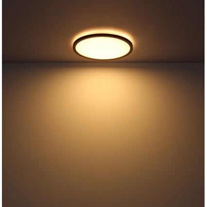 Globo - LED ljusreglerad taklampa till badrum LED/24W/230V diameter 42 cm IP44 svart