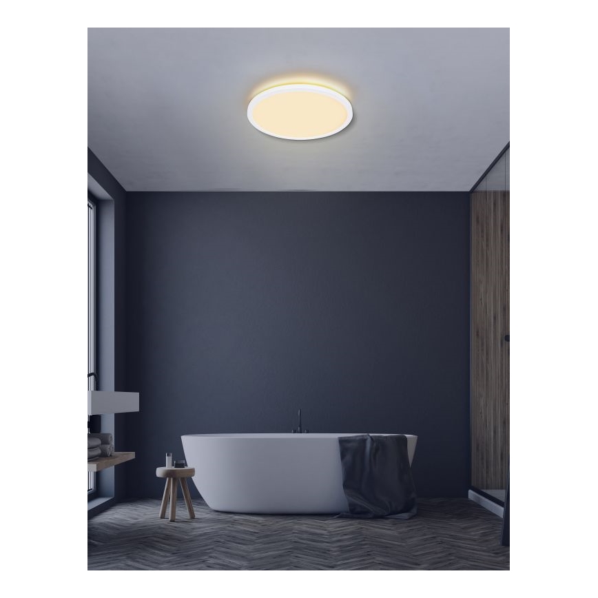 Globo - LED ljusreglerad taklampa till badrum LED/24W/230V diameter 42 cm IP44 vit