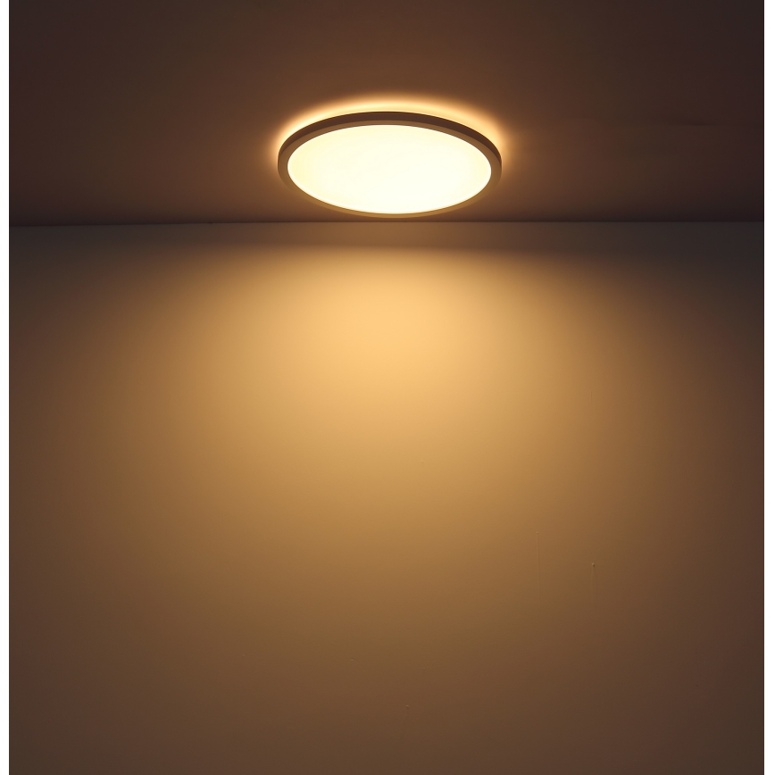 Globo - LED ljusreglerad taklampa till badrum LED/24W/230V diameter 42 cm IP44 vit