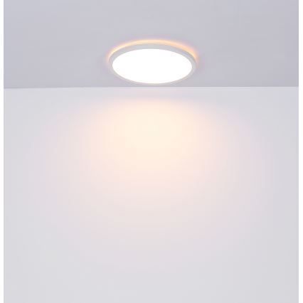 Globo - LED ljusreglerad taklampa till badrum LED/24W/230V diameter 42 cm IP44 vit