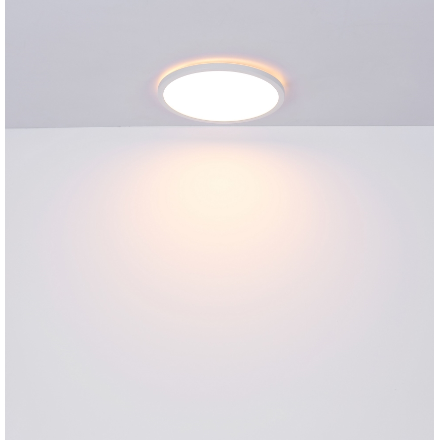 Globo - LED ljusreglerad taklampa till badrum LED/24W/230V diameter 42 cm IP44 vit