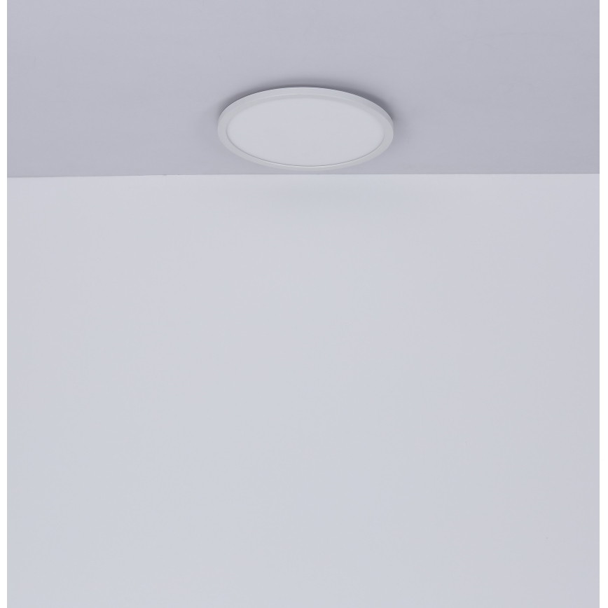 Globo - LED ljusreglerad taklampa till badrum LED/24W/230V diameter 42 cm IP44 vit
