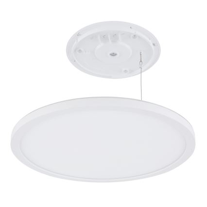 Globo - LED ljusreglerad taklampa till badrum LED/24W/230V diameter 42 cm IP44 vit