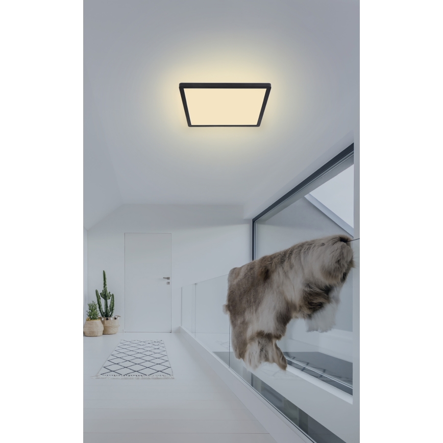 Globo - LED ljusreglerad taklampa till badrum LED/18W/230V 29,4x29,4 cm IP44 svart