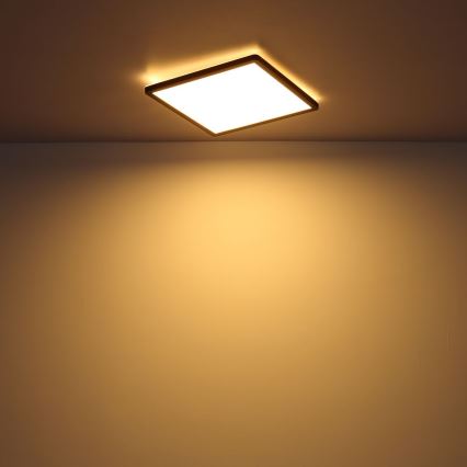 Globo - LED ljusreglerad taklampa till badrum LED/24W/230V 42x42 cm IP44 svart