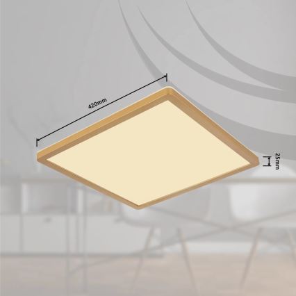 Globo - LED ljusreglerad taklampa till badrum LED/24W/230V 3000K IP44 42x42 cm mässing
