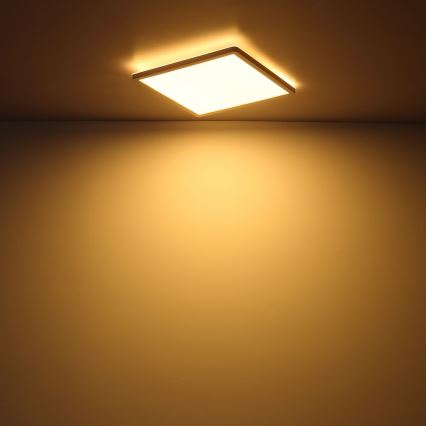 Globo - LED ljusreglerad taklampa till badrum LED/24W/230V 42x42 cm IP44 vit