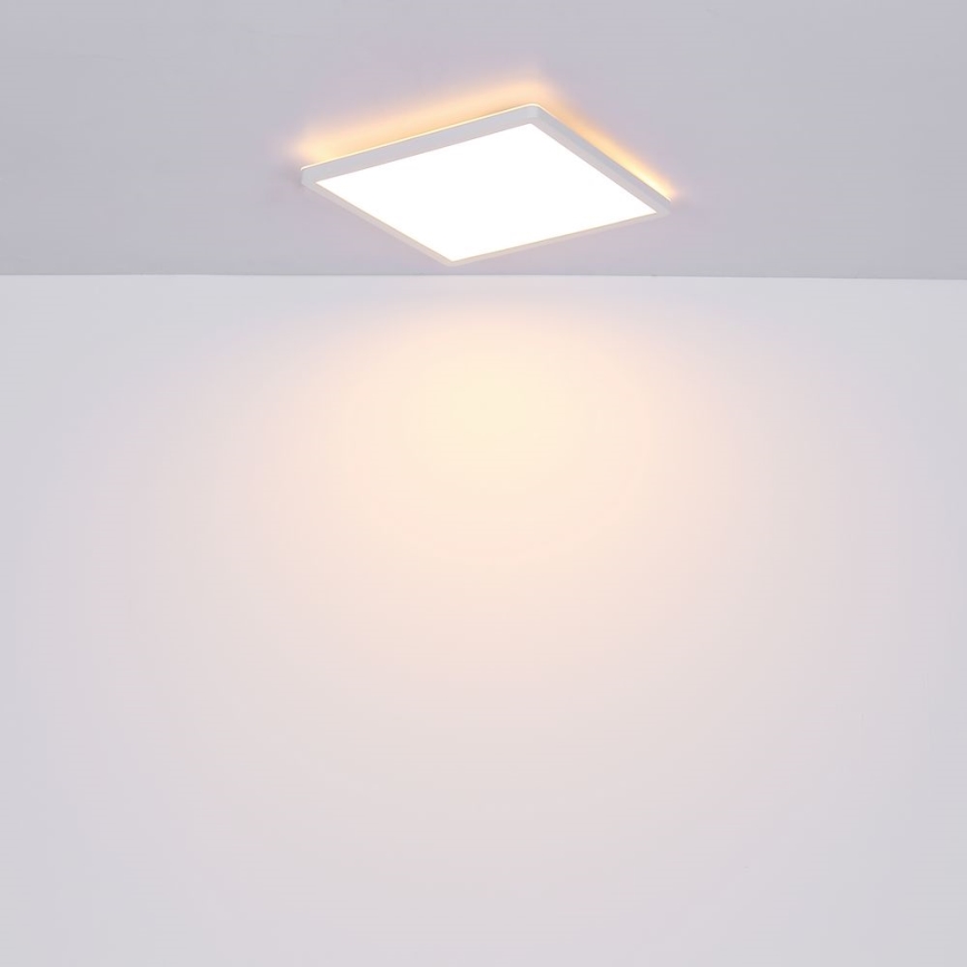 Globo - LED ljusreglerad taklampa till badrum LED/24W/230V 42x42 cm IP44 vit