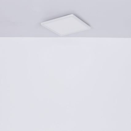 Globo - LED ljusreglerad taklampa till badrum LED/24W/230V 42x42 cm IP44 vit