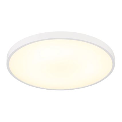 Globo - LED taklampa, 15 W, 230 V, 4000 K, Ø 23 cm, vit