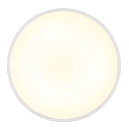 Globo - LED taklampa, 15 W, 230 V, 4000 K, Ø 23 cm, vit