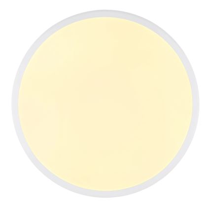 Globo - LED taklampa LED/18W/230V 3000K diameter 35 cm vit
