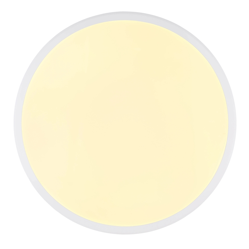 Globo - LED taklampa LED/18W/230V 3000K diameter 35 cm vit
