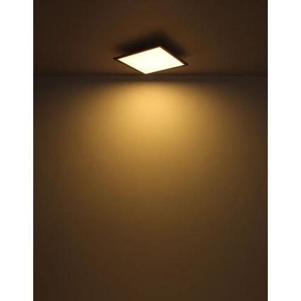 Globo - LED taklampa LED/24W/230V