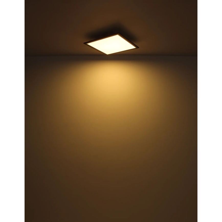 Globo - LED taklampa LED/24W/230V