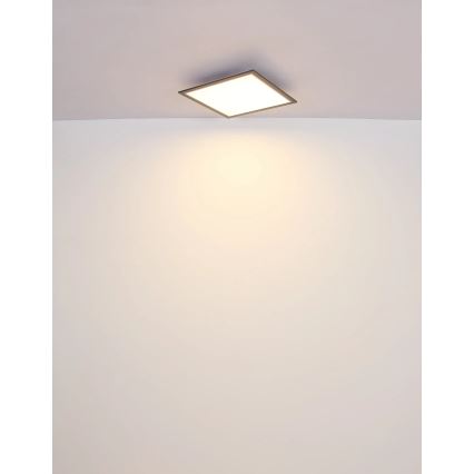 Globo - LED taklampa LED/24W/230V