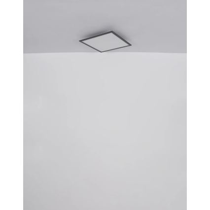 Globo - LED taklampa LED/24W/230V