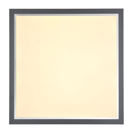 Globo - LED taklampa LED/24W/230V