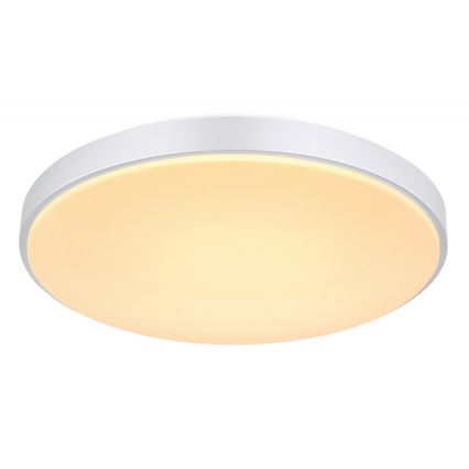 Globo - LED Dimbar taklampa LED/24W/230V + fjärrkontroll
