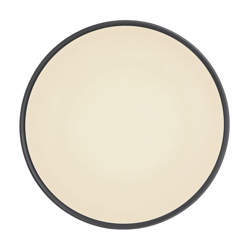 Globo - LED Dimbar taklampa LED/24W/230V + fjärrkontroll