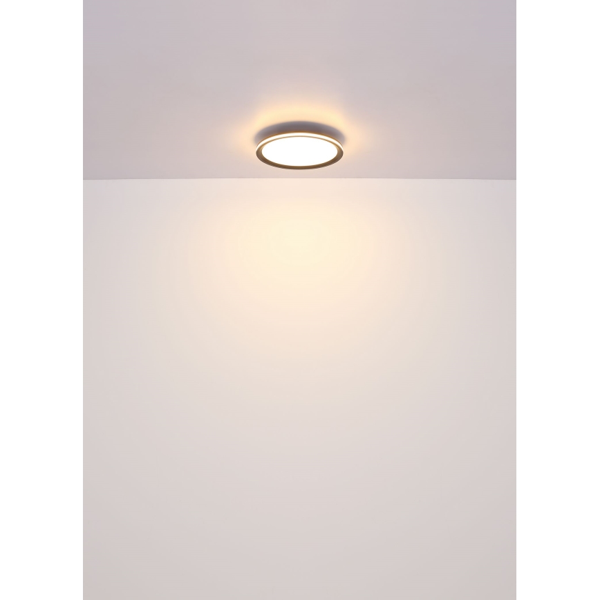Globo - LED taklampa LED/39W/230V diameter 40 cm