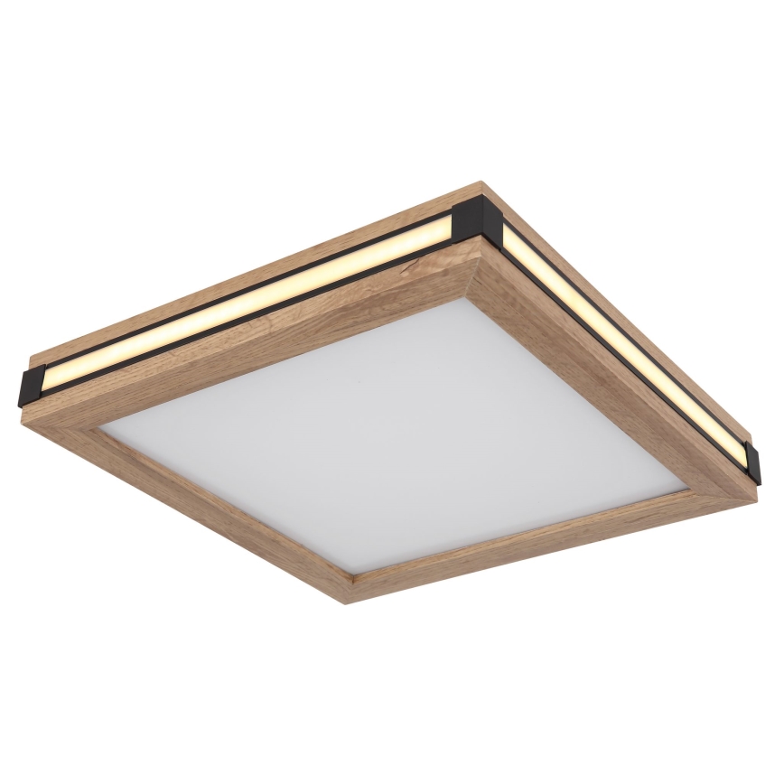 Globo - LED taklampa LED/12W/230V 30x30 cm