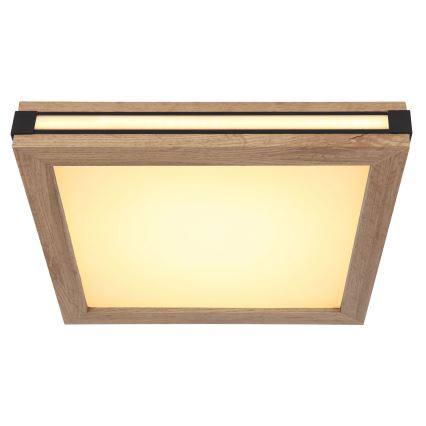Globo - LED taklampa LED/12W/230V 30x30 cm