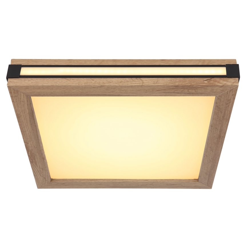 Globo - LED taklampa LED/12W/230V 30x30 cm