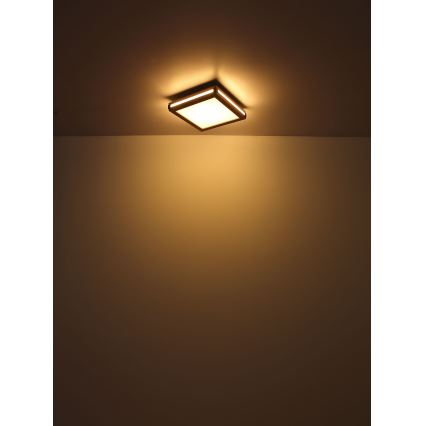 Globo - LED taklampa LED/24W/230V 45x45 cm