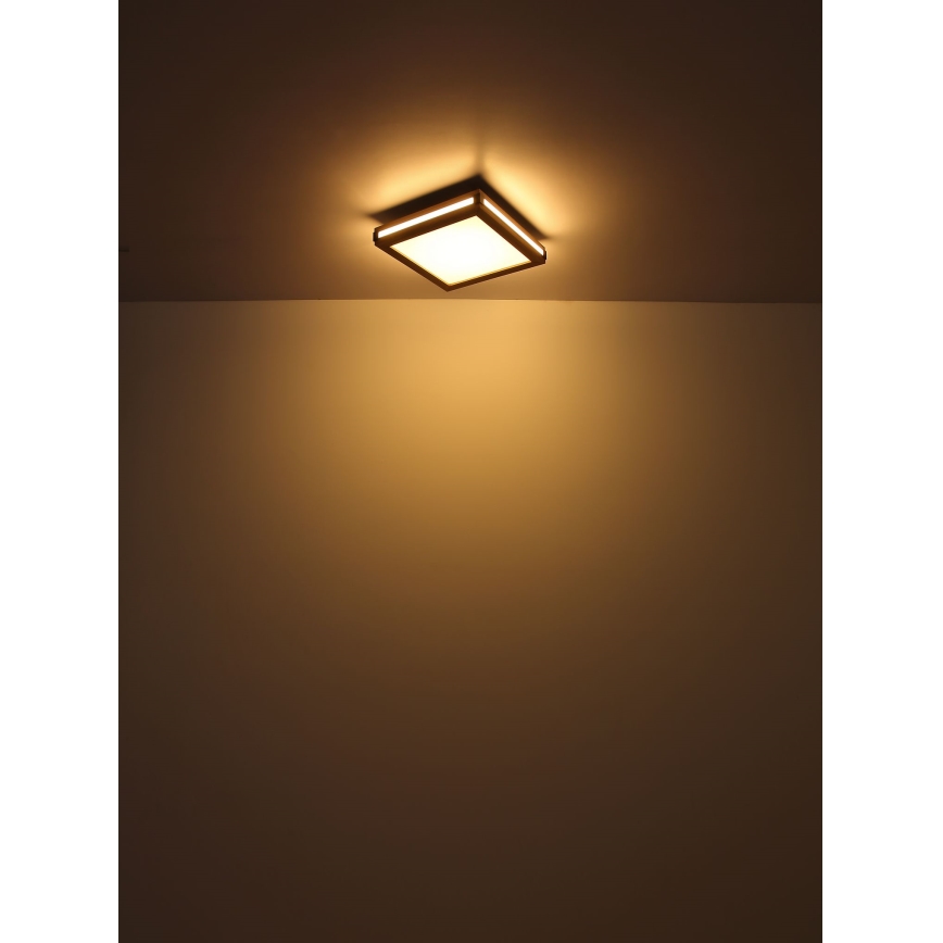 Globo - LED taklampa LED/24W/230V 45x45 cm