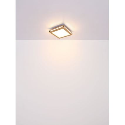 Globo - LED taklampa LED/24W/230V 45x45 cm