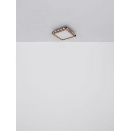 Globo - LED taklampa LED/24W/230V 45x45 cm