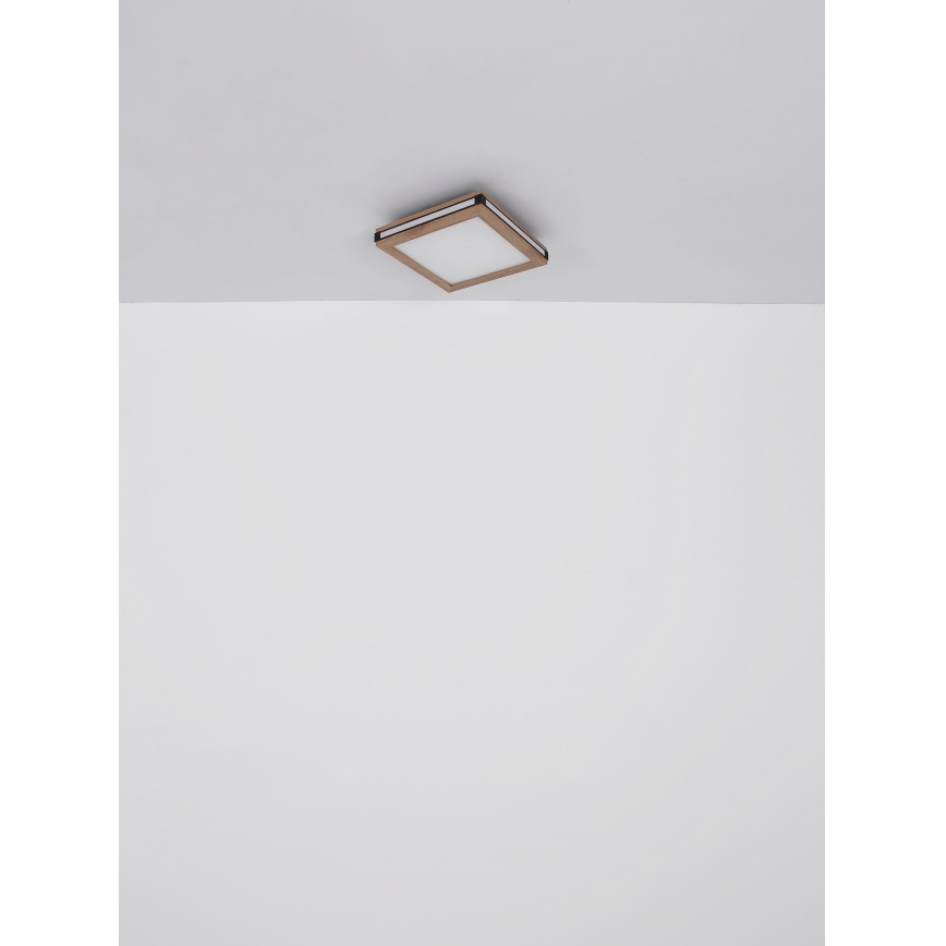 Globo - LED taklampa LED/24W/230V 45x45 cm