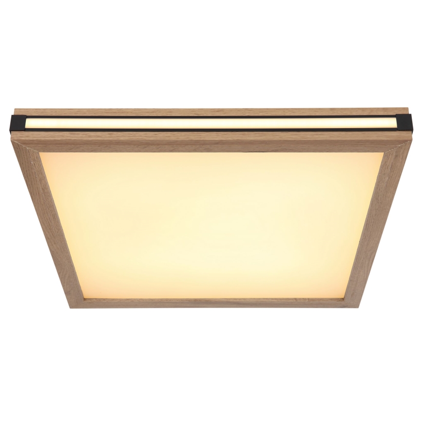 Globo - LED taklampa LED/24W/230V 45x45 cm