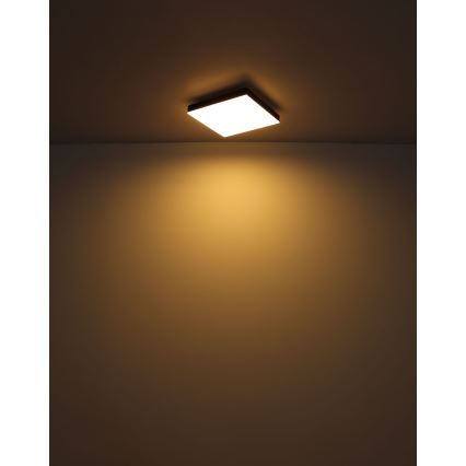 Globo - LED Dimbar taklampa LED/24W/230V 2700-6500K svart + fjärrkontroll