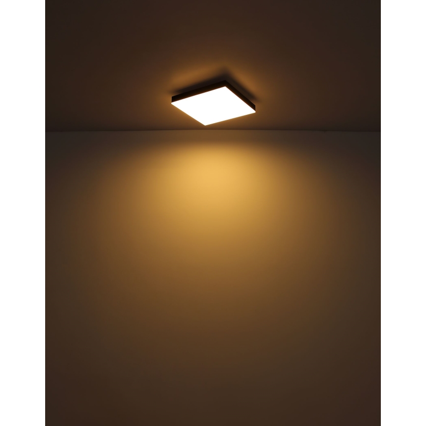 Globo - LED Dimbar taklampa LED/24W/230V 2700-6500K svart + fjärrkontroll