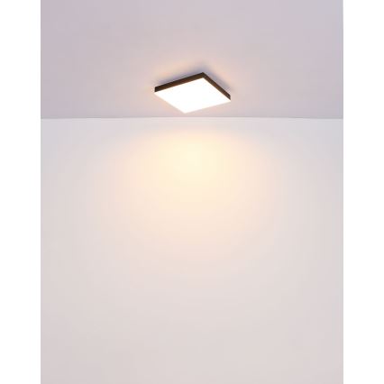 Globo - LED Dimbar taklampa LED/24W/230V 2700-6500K svart + fjärrkontroll