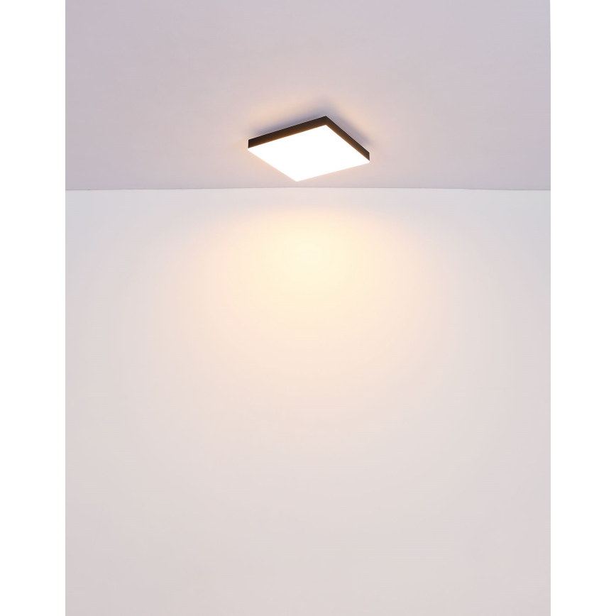 Globo - LED Dimbar taklampa LED/24W/230V 2700-6500K svart + fjärrkontroll