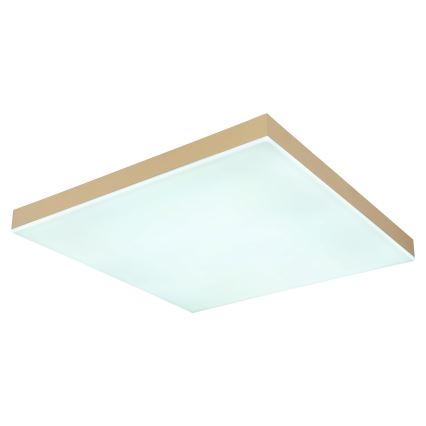 Globo - LED Dimbar taklampa LED/24W/230V 2700-6500K guld + fjärrkontroll