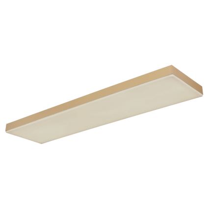 Globo - LED Dimbar taklampa LED/24W/230V 2700-6500K guld + fjärrkontroll