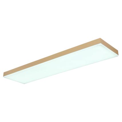 Globo - LED Dimbar taklampa LED/24W/230V 2700-6500K guld + fjärrkontroll