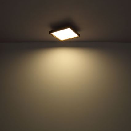 Globo - LED Taklampa LED/12W/230V 2700/4500/6500K 30x30 cm