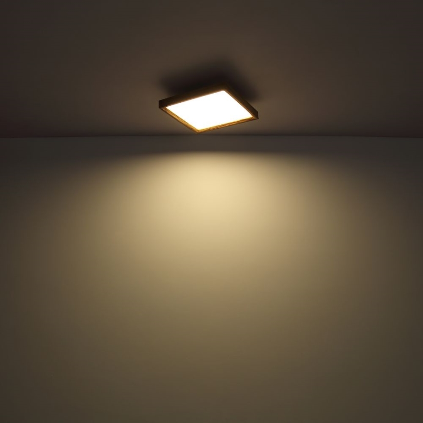 Globo - LED Taklampa  LED/24W/230V 45cm 2700/4500/6500K