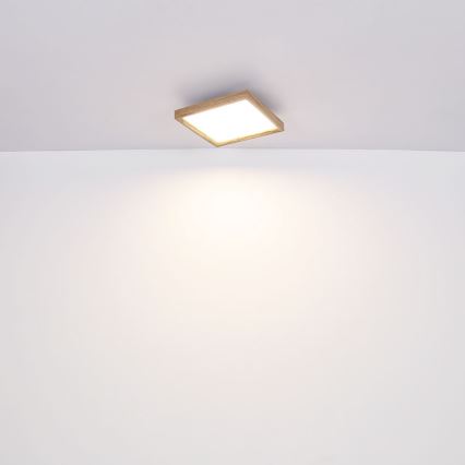 Globo - LED Taklampa  LED/24W/230V 45cm 2700/4500/6500K