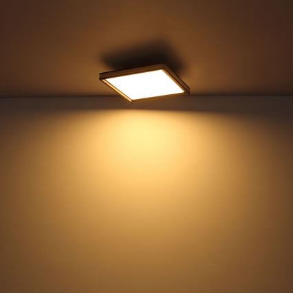 Globo - LED dimbar taklampa LED/24W/230V 2700-6500K + fjärrkontroll