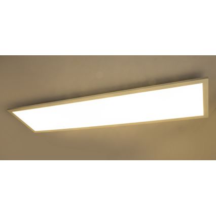 Globo 41604D5 – LED Takbelysning ros LED/40W/230V