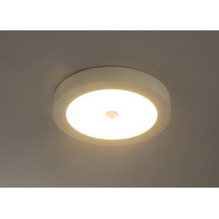 Globo 41605-18S - LED Utomhus Takbelysning med sensor PAULA 1xLED/18W/230V