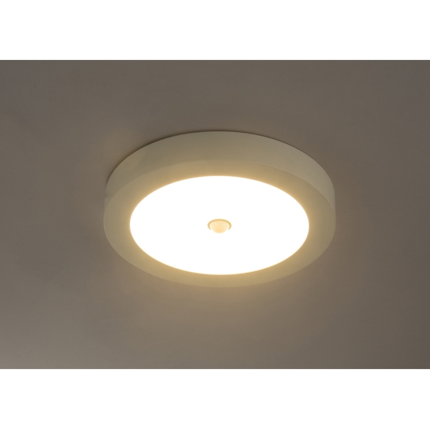 Globo 41605-18S - LED Utomhus Takbelysning med sensor PAULA 1xLED/18W/230V