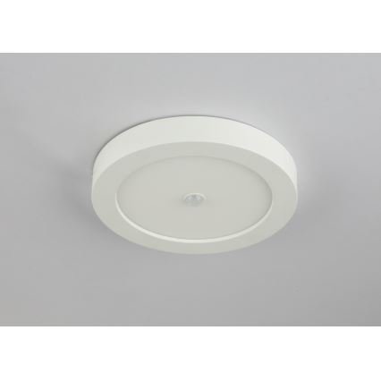 Globo 41605-18S - LED Utomhus Takbelysning med sensor PAULA 1xLED/18W/230V