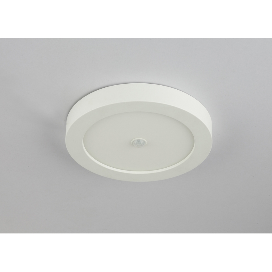 Globo 41605-18S - LED Utomhus Takbelysning med sensor PAULA 1xLED/18W/230V